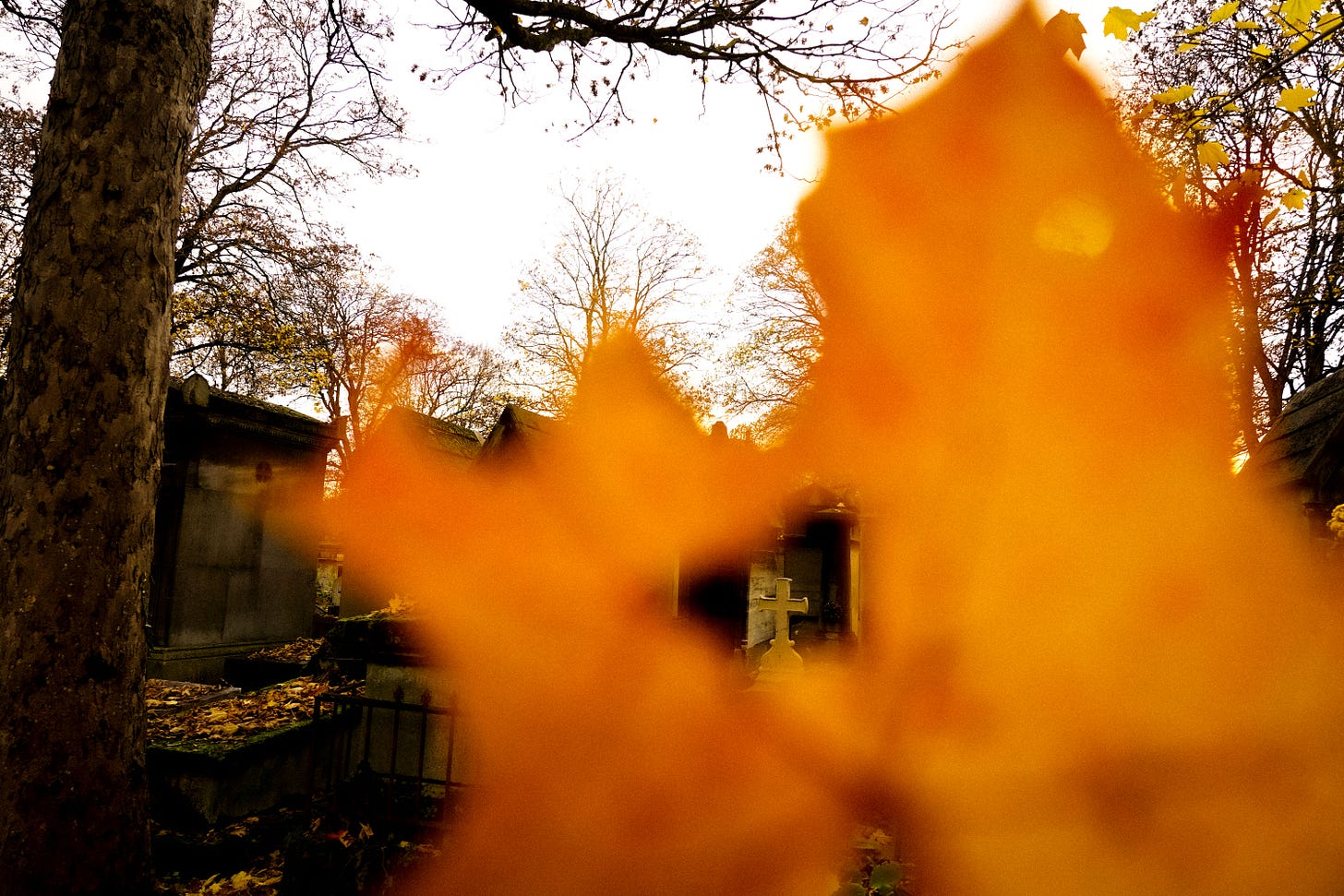 Père Lachaise cemetery in autumn light