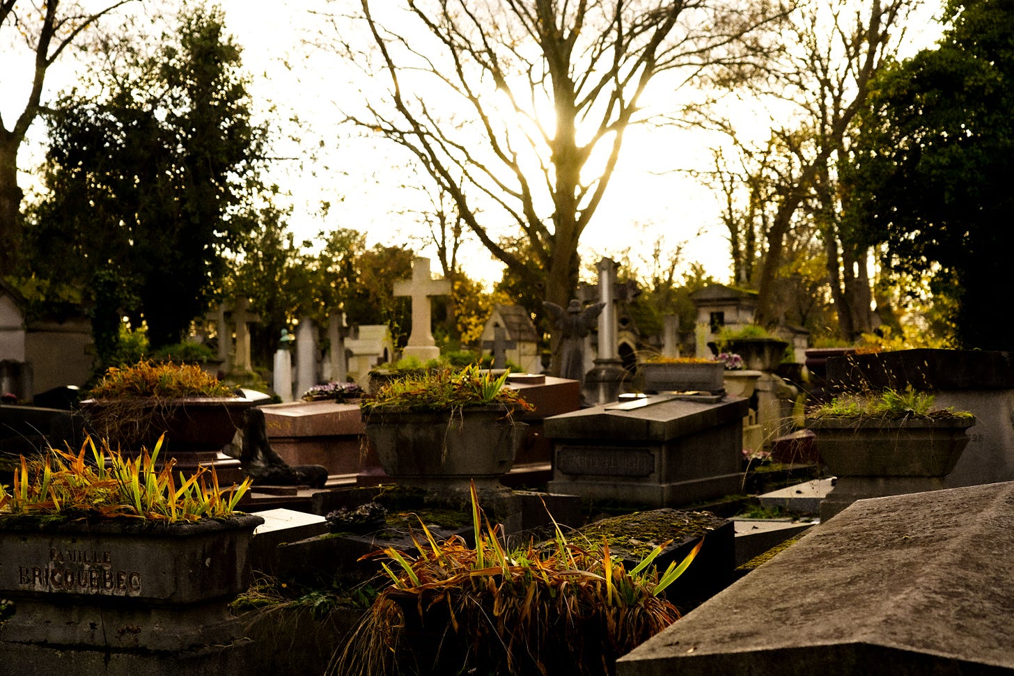 A path through Père Lachaise