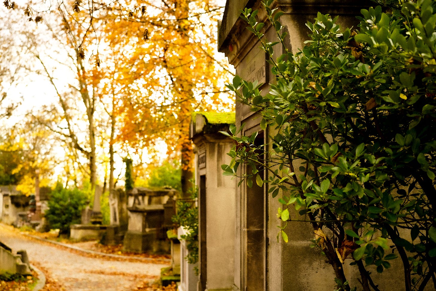 Carefully tended graves with autumn leaves