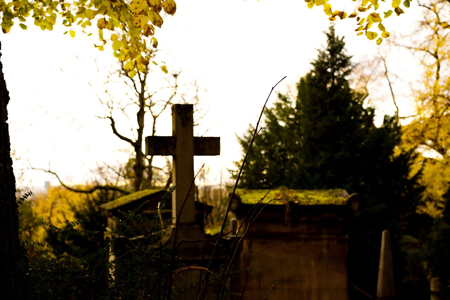 Cemetery in the crisp November air