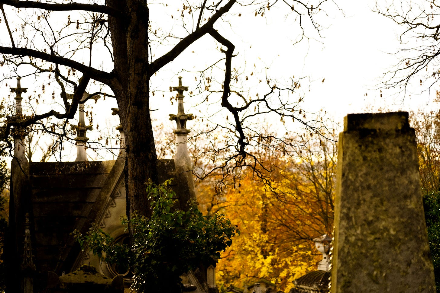 Golden leaves in the cemetery