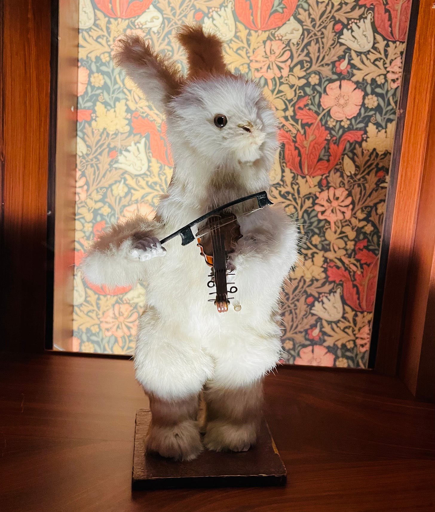 Self-playing musical instrument with rabbit at Museum Speelklok