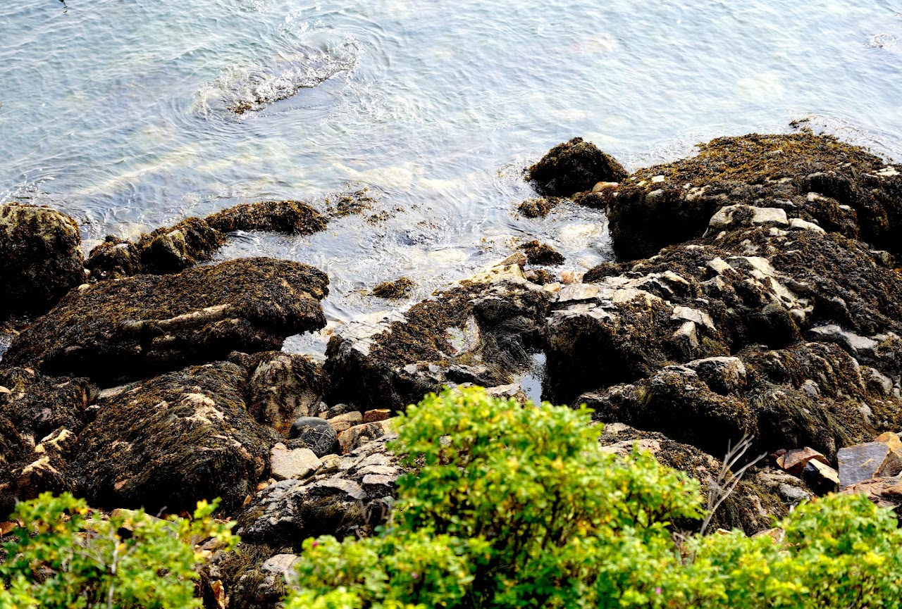 Rocky shoreline from above