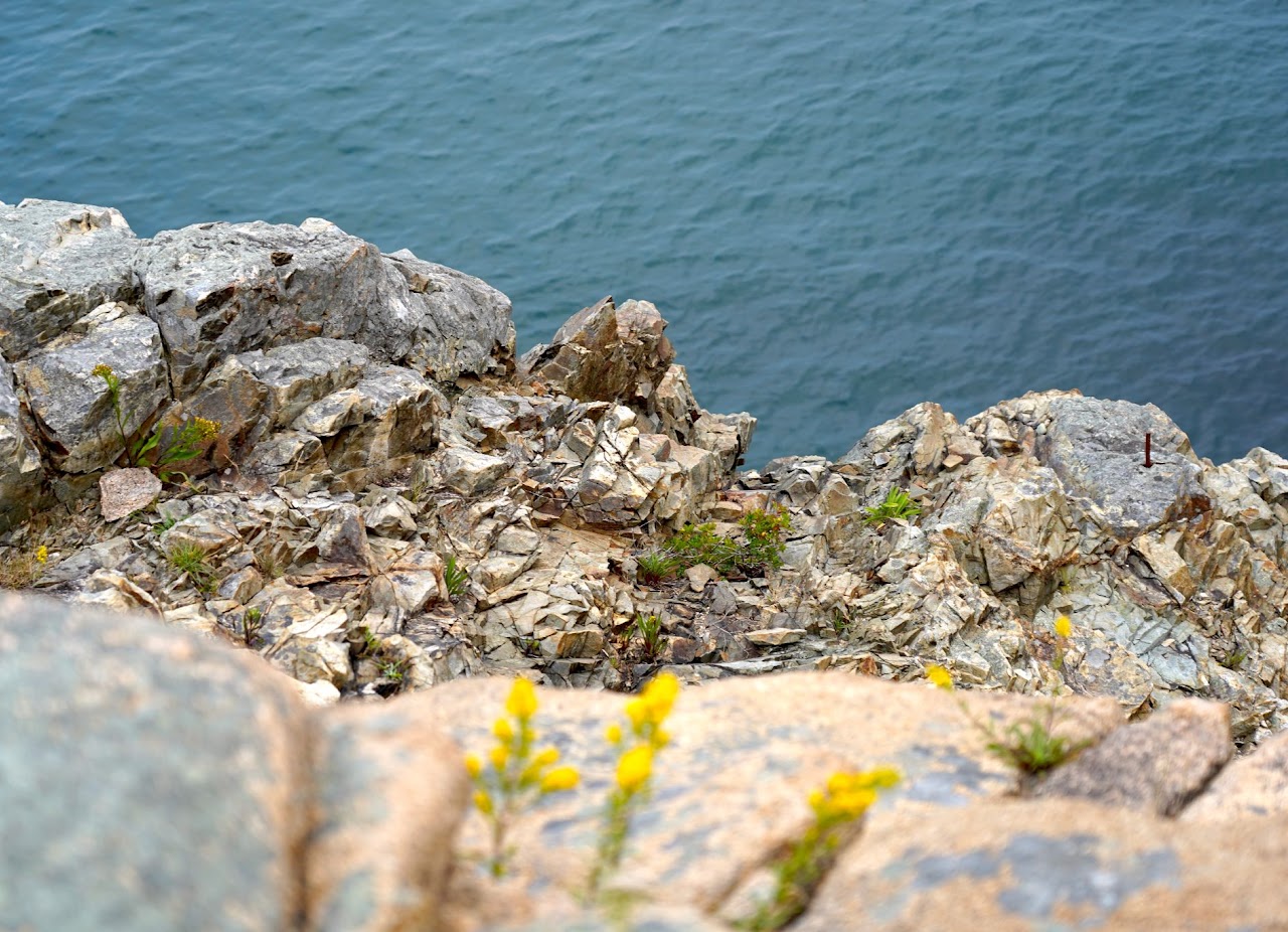Fractured rock ledge at sea