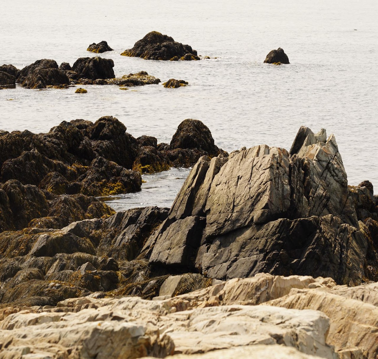 Rocky coastline with folded strata