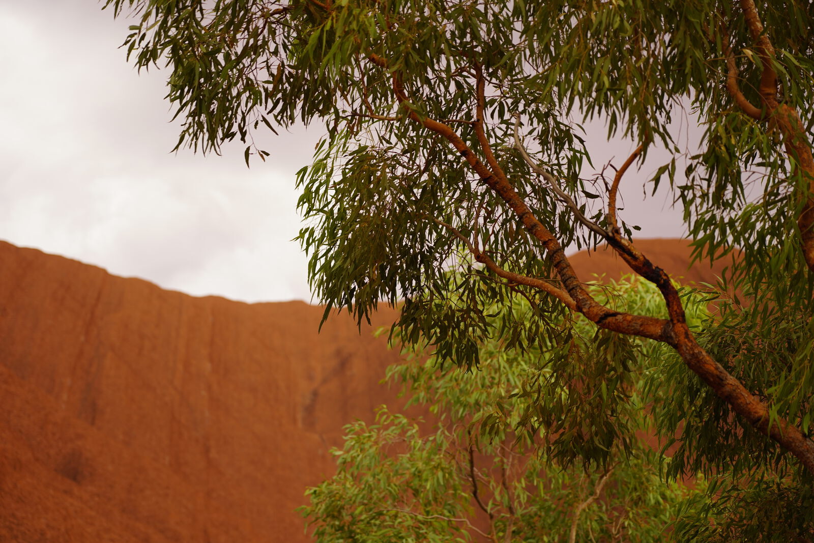 Uluru panorama
