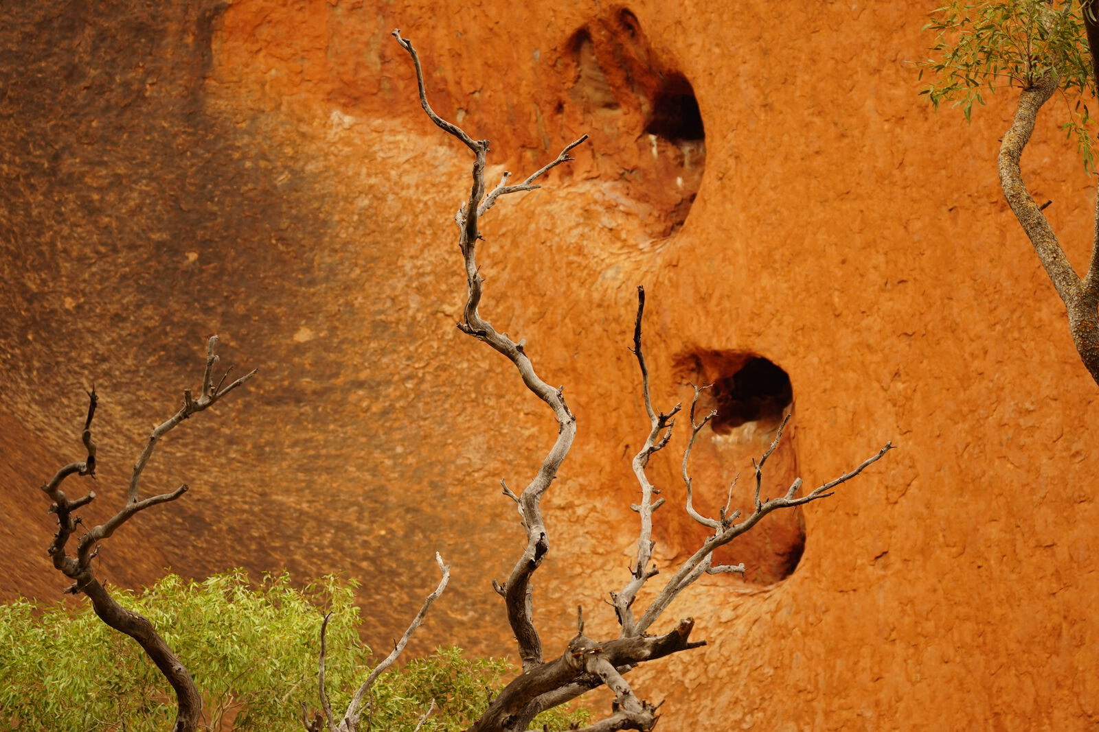 Kata Tjuta domes