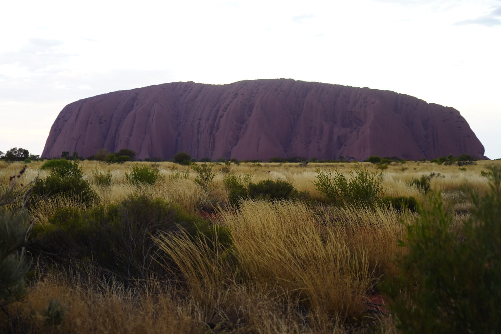 Kata Tjuta dome close