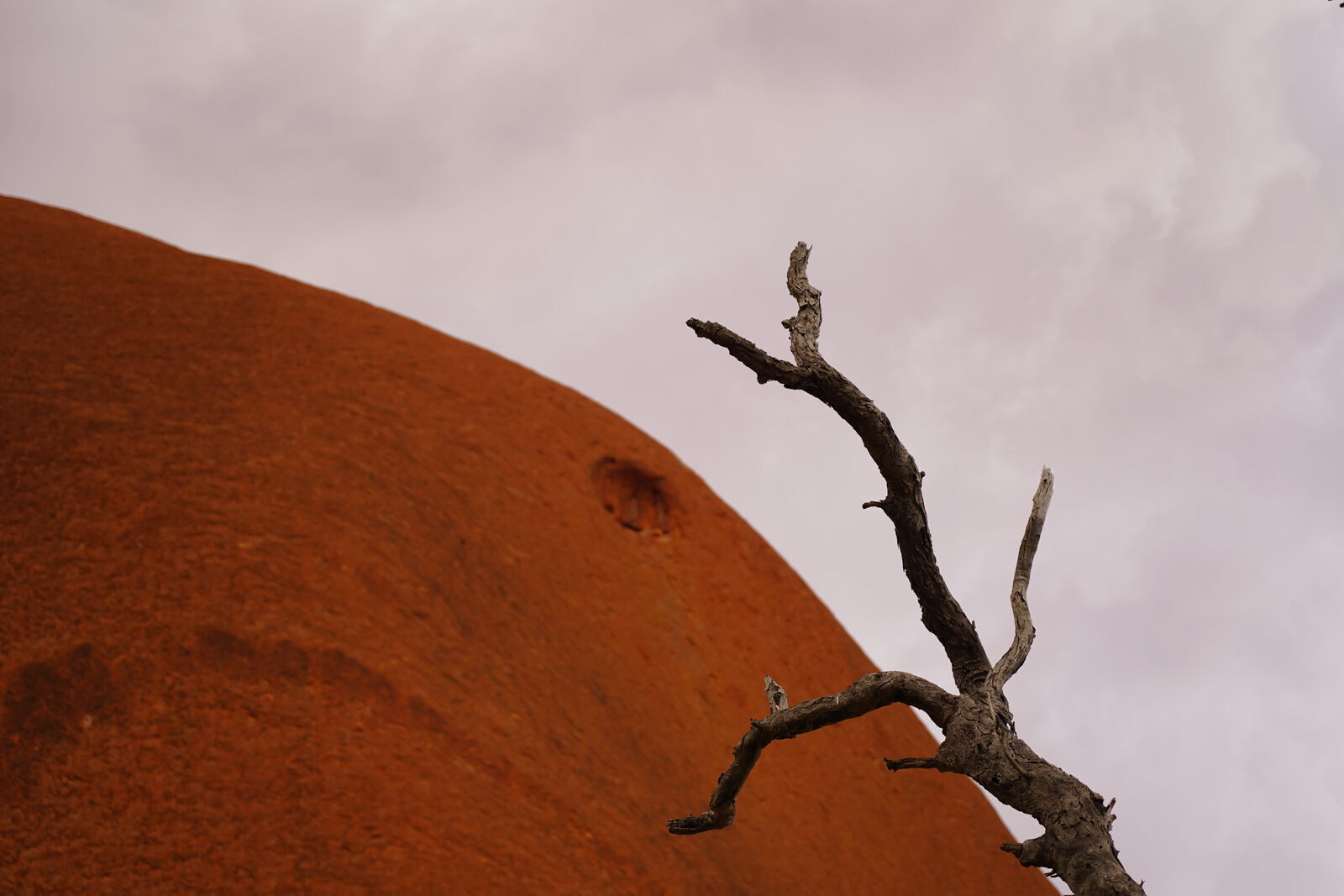 Sunrise or sunset panorama