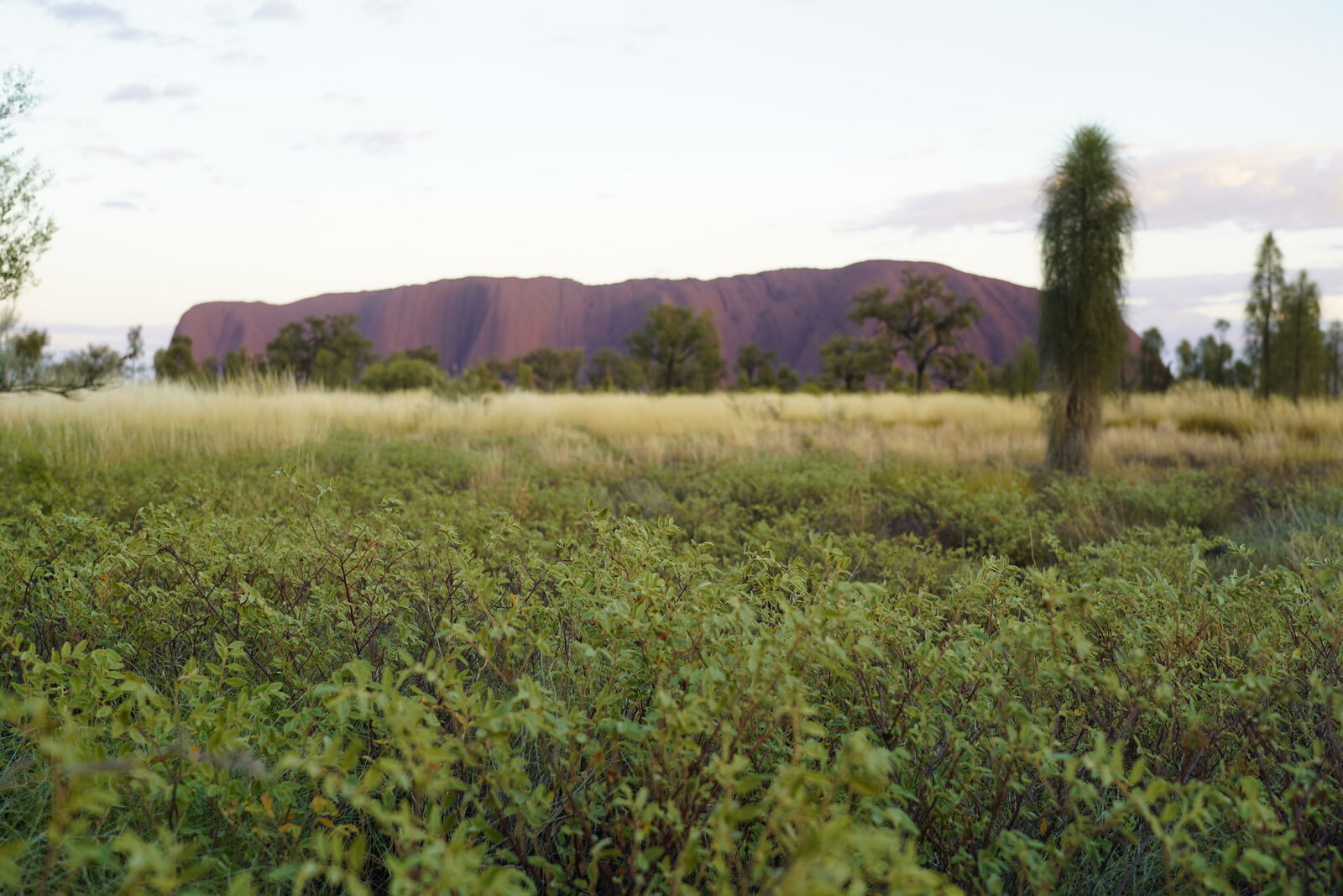 Kata Tjuta path