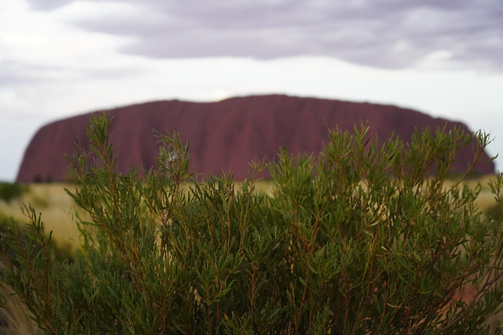 Sunset colors on rock