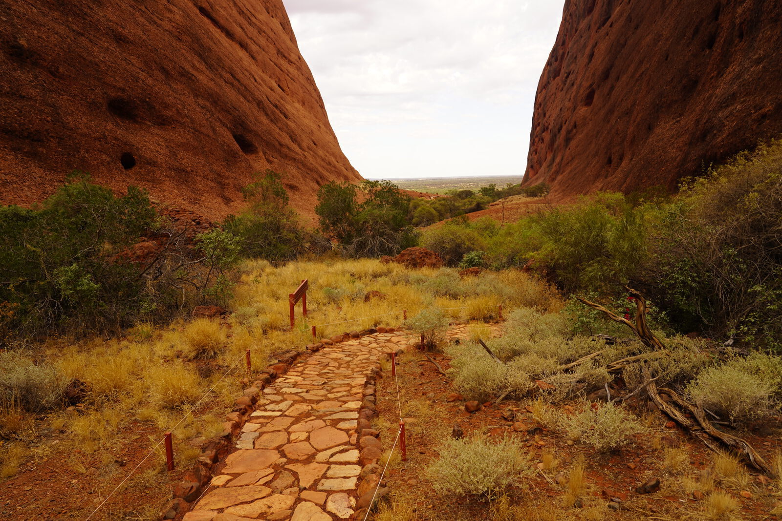 Uluru reflection or dusk