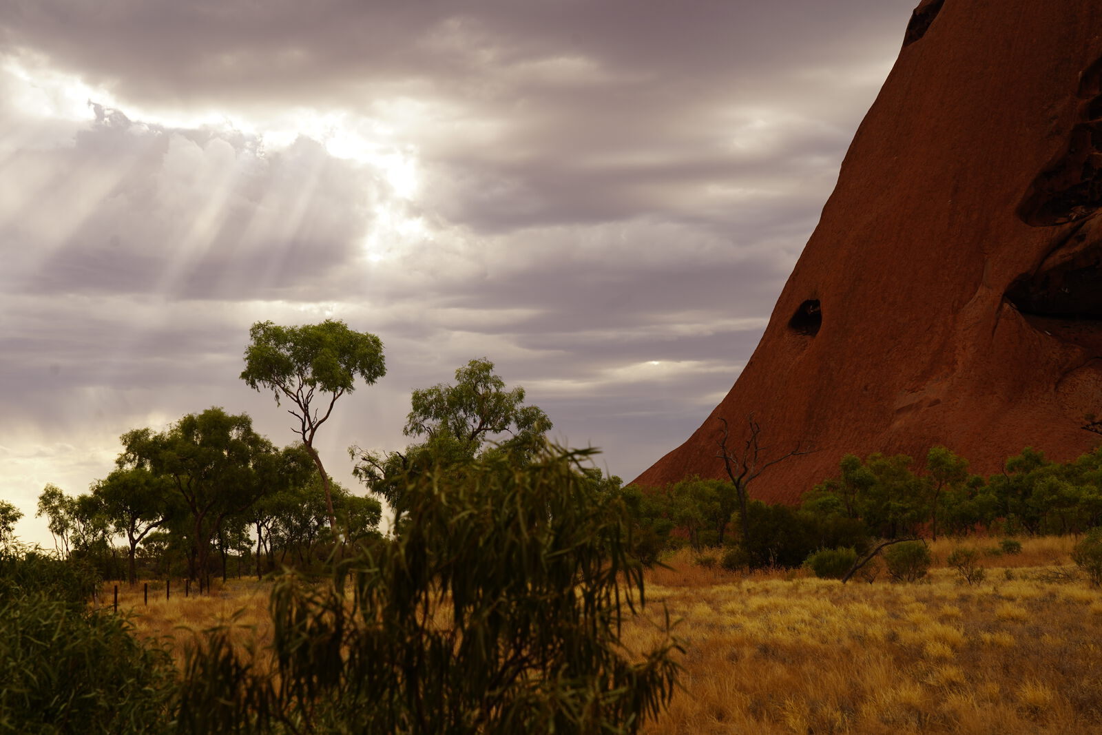 Rock texture abstract