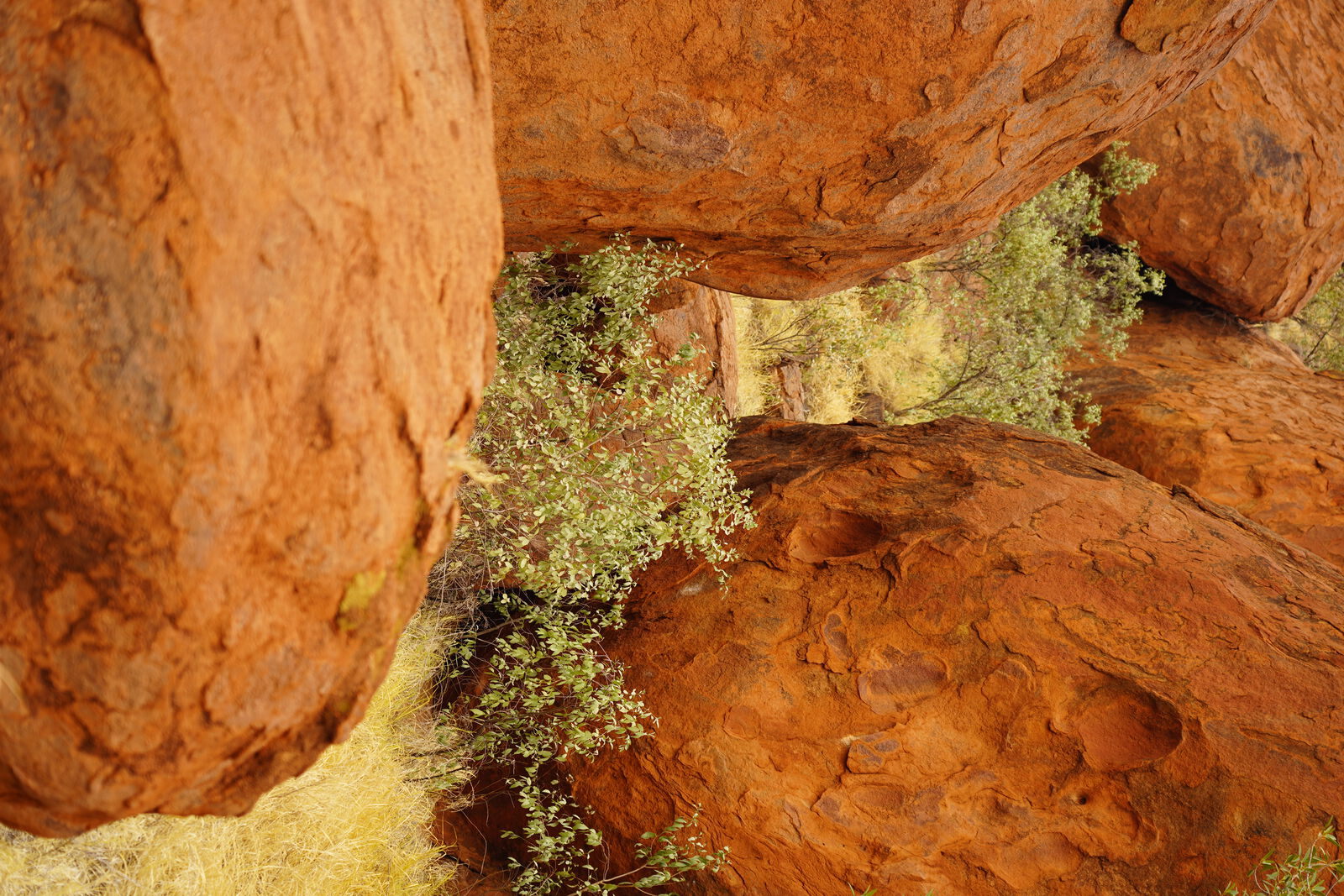 Kata Tjuta vertical
