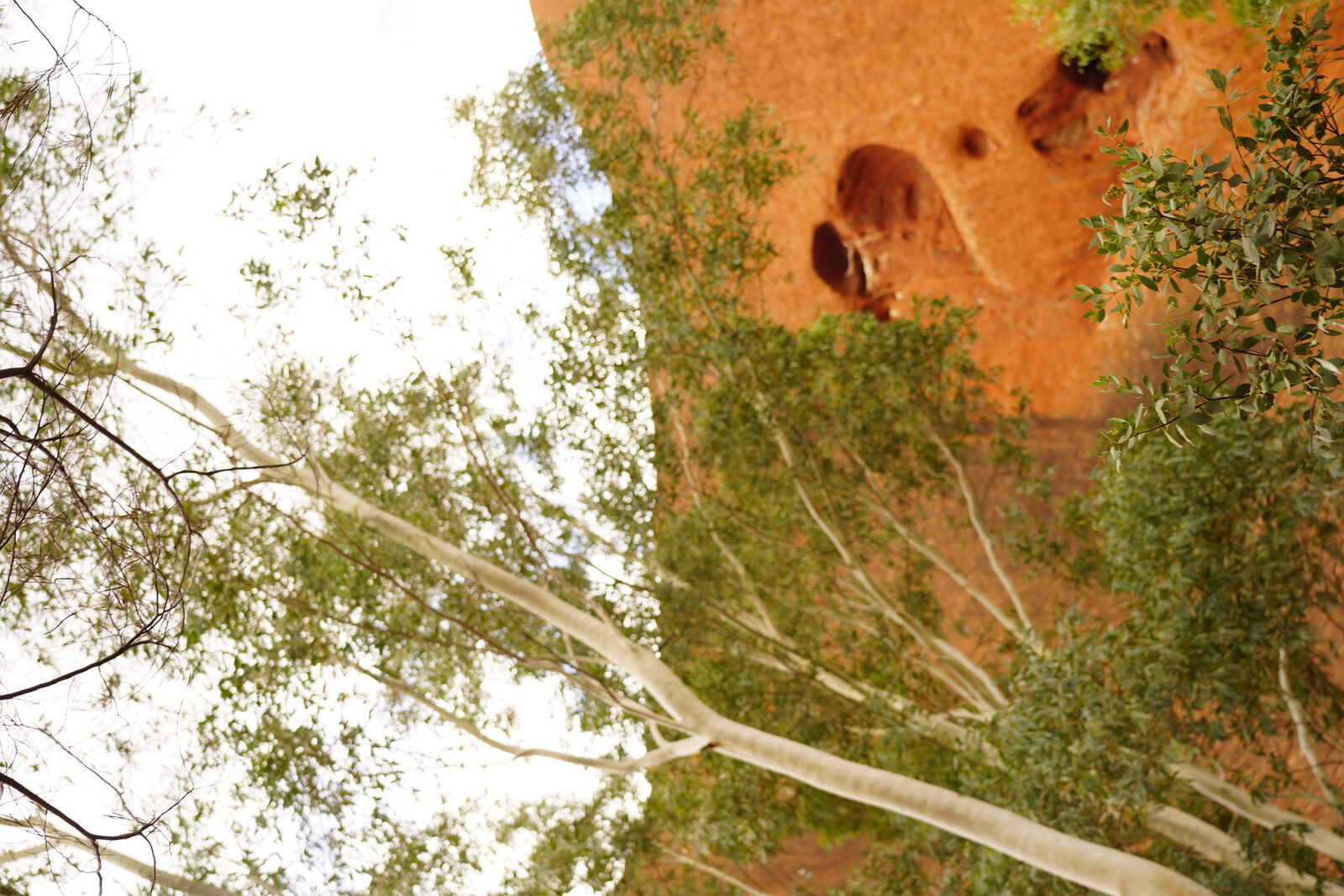 Sky and clouds over desert